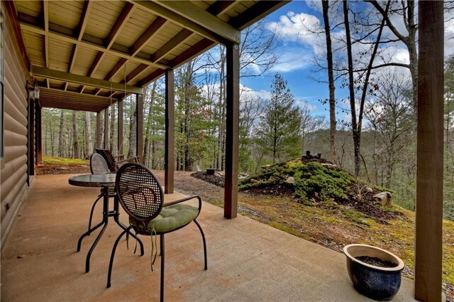 97 Doyle Carder Pkwy, Blue Ridge, GA 30513 - view of patio / terrace