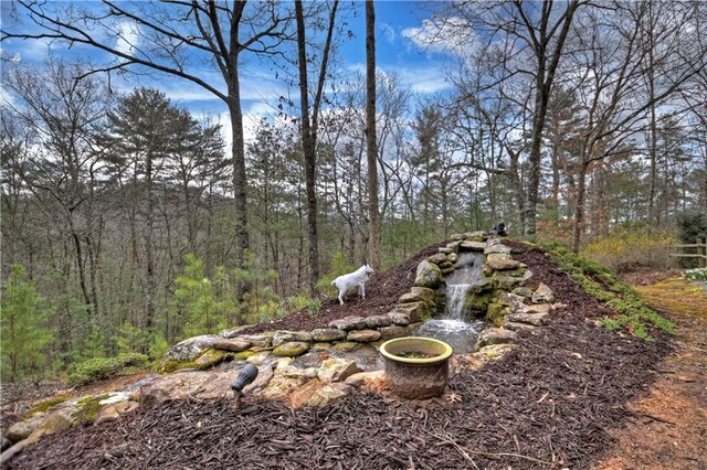 97 Doyle Carder Pkwy, Blue Ridge, GA 30513 - view of yard featuring a wooded view