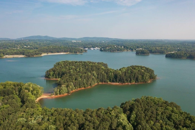 drone / aerial view featuring a water and mountain view