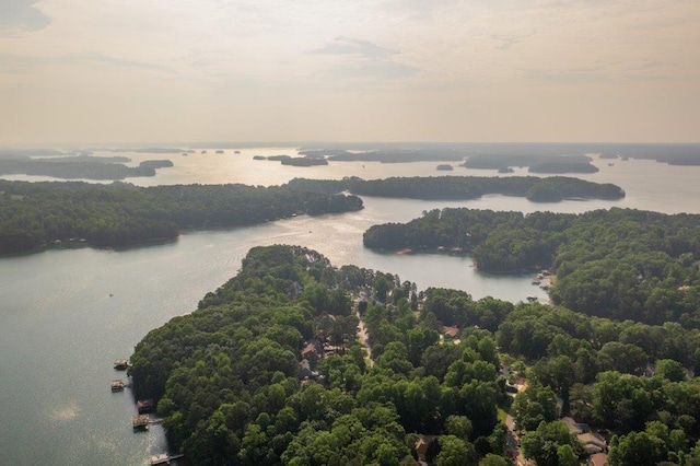 drone / aerial view featuring a water and mountain view