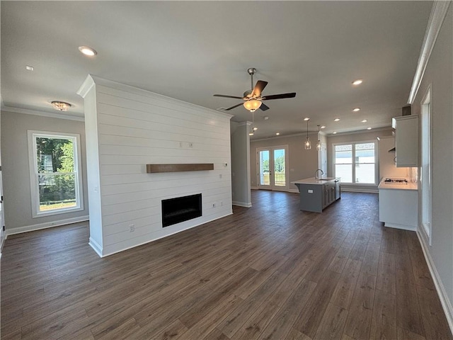 unfurnished living room featuring dark wood-type flooring, french doors, sink, ceiling fan, and ornamental molding