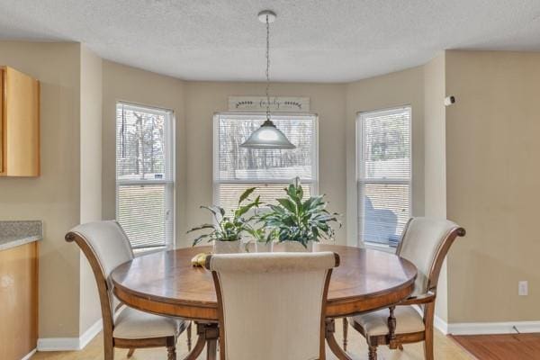 dining area featuring a wealth of natural light, a textured ceiling, and baseboards