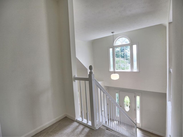 750 Whitehall Way, Roswell, GA 30076 - foyer entrance featuring a textured ceiling, a high ceiling, and carpet flooring