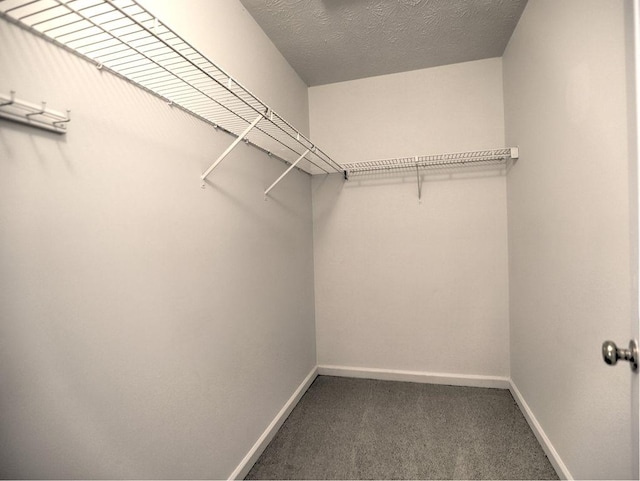750 Whitehall Way, Roswell, GA 30076 - walk in closet featuring carpet flooring