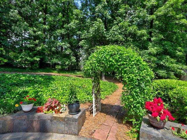 750 Whitehall Way, Roswell, GA 30076 - view of yard