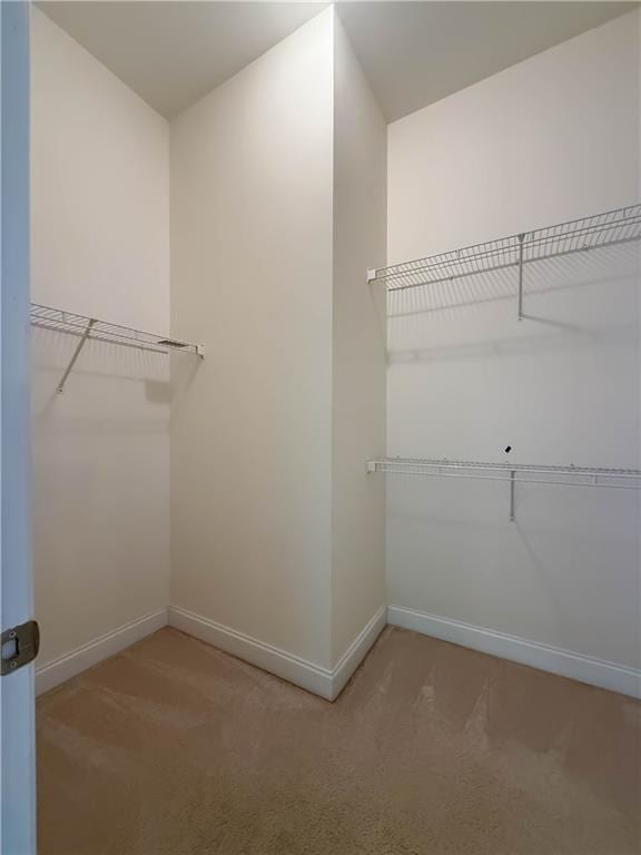 430 English Ivy Way, Woodstock, GA 30188 - spacious closet featuring light carpet