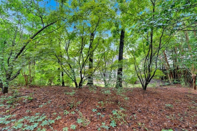 209 Southerness Ct, Stockbridge, GA 30281 - view of local wilderness