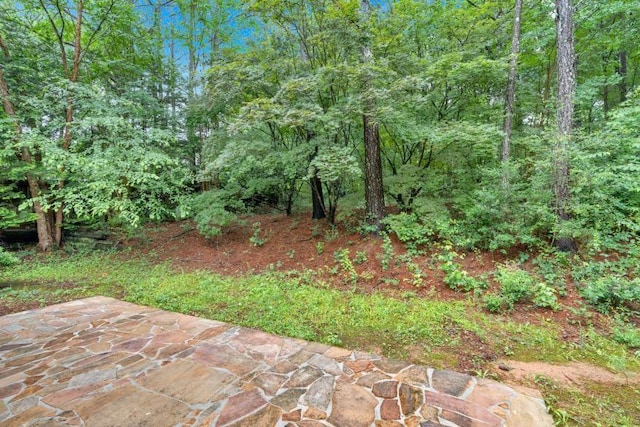 209 Southerness Ct, Stockbridge, GA 30281 - view of yard with a patio