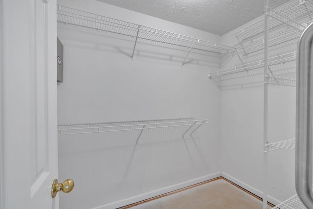 209 Southerness Ct, Stockbridge, GA 30281 - view of walk in closet
