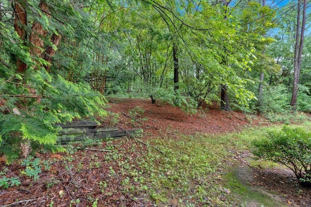 209 Southerness Ct, Stockbridge, GA 30281 - view of wooded area