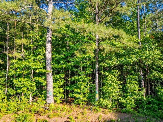 0 Estes Rd, Rutledge, GA 30663