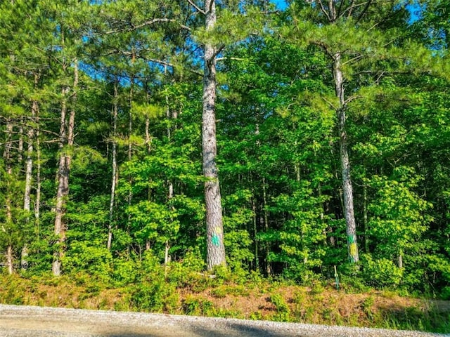 0 Estes Rd, Rutledge, GA 30663