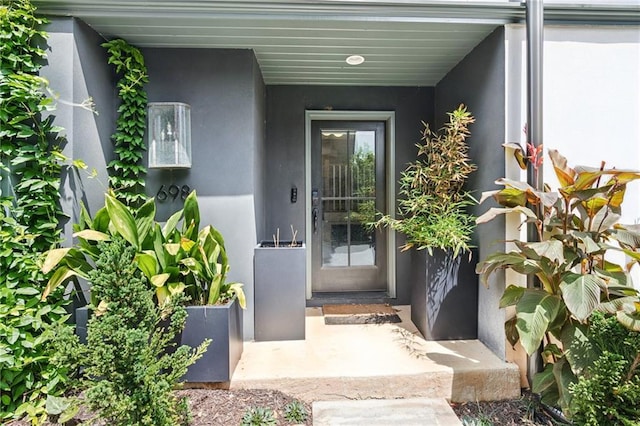 doorway to property featuring stucco siding