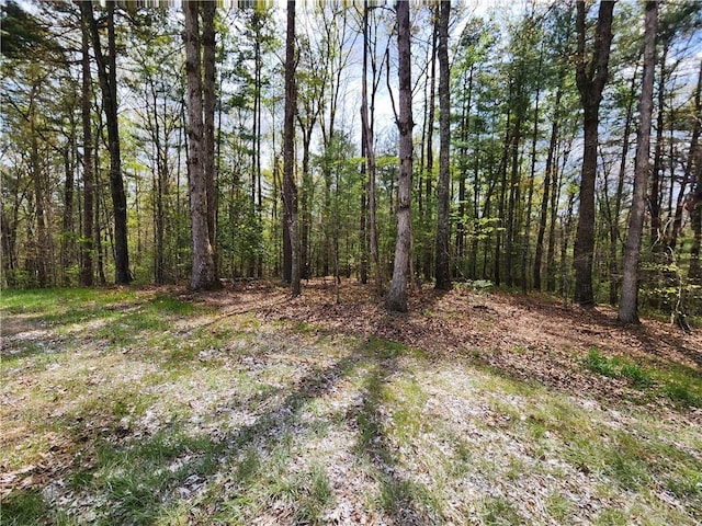 7203 Murphy Hwy, Mineral Bluff, GA 30559 - view of wooded area