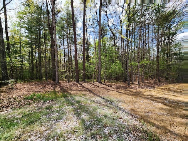 7203 Murphy Hwy, Mineral Bluff, GA 30559 - view of nature