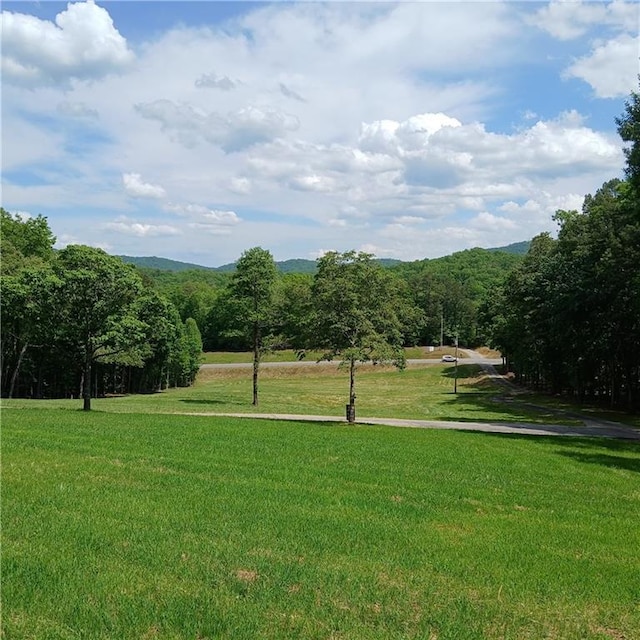 7203 Murphy Hwy, Mineral Bluff, GA 30559 - view of property's community with a yard and a view of trees