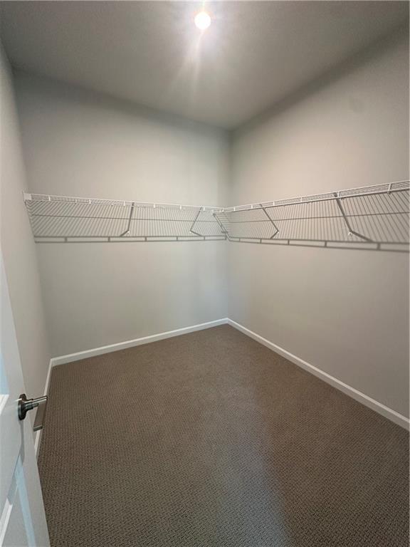 861 Pineberry Ct, Grayson, GA 30017 - walk in closet with carpet