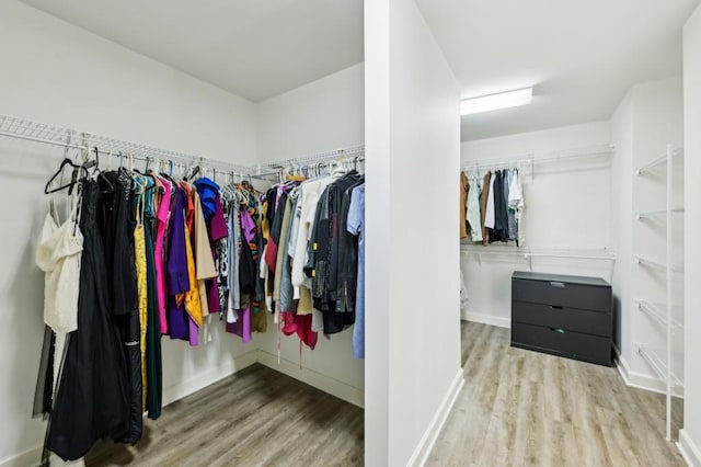 walk in closet with wood-type flooring