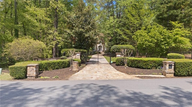 4340 Candacraig, Johns Creek, GA 30022 - view of property's community with a gate