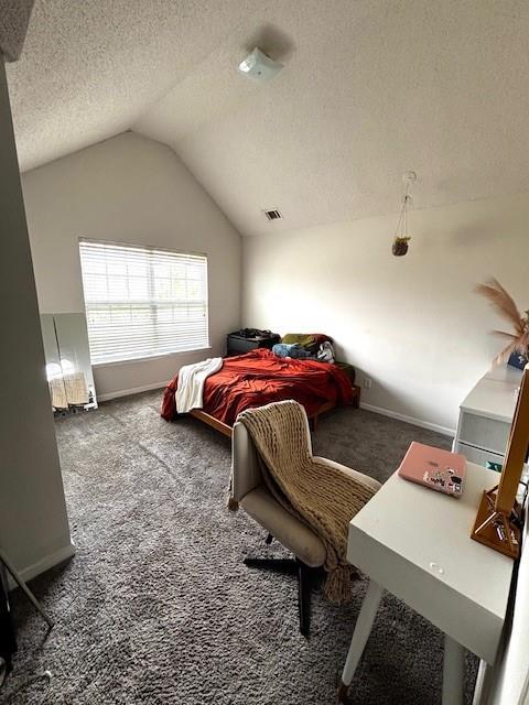 7178 Glaspie Way, Atlanta, GA 30349 - carpeted bedroom featuring lofted ceiling and a textured ceiling