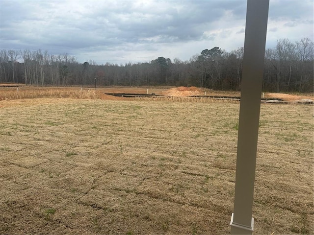 view of yard with a rural view and a view of trees