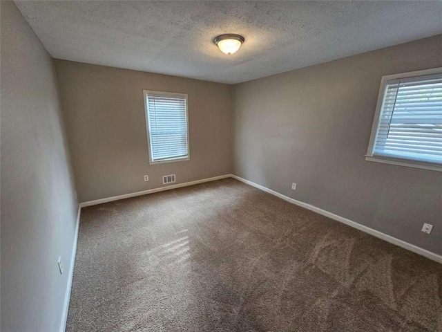 spare room with carpet and a textured ceiling