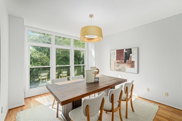 1344 Fernwood Cir NE, Brookhaven, GA 30319 - dining space featuring plenty of natural light and light wood-style flooring