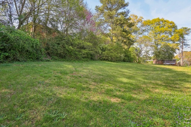 2519 Miriam Ln, Decatur, GA 30032 - view of yard