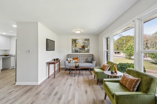 2519 Miriam Ln, Decatur, GA 30032 - living room featuring baseboards, a healthy amount of sunlight, and light wood-style floors