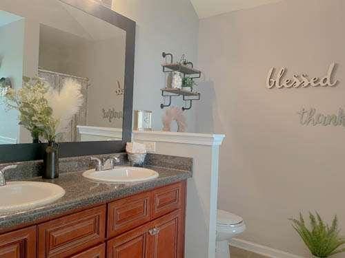 1127 Oak Hollow Ct, Hampton, GA 30228 - bathroom featuring double vanity and toilet