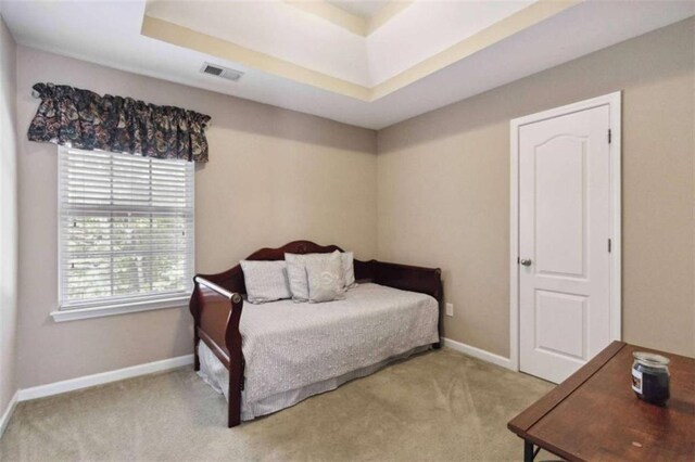 1127 Oak Hollow Ct, Hampton, GA 30228 - bedroom featuring carpet, baseboards, and a tray ceiling
