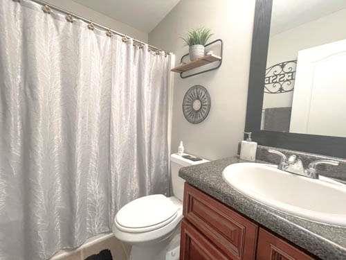 1127 Oak Hollow Ct, Hampton, GA 30228 - full bath featuring toilet, vanity, and a shower with shower curtain