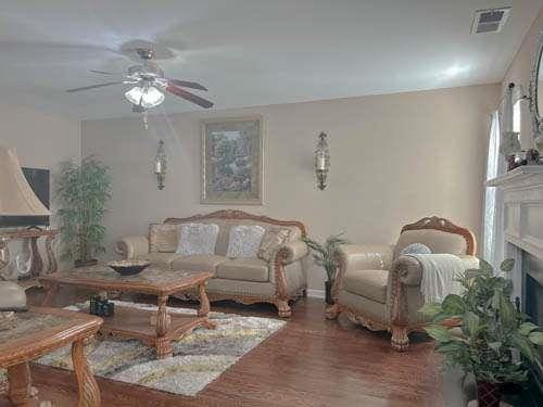 1127 Oak Hollow Ct, Hampton, GA 30228 - living room with a ceiling fan, wood finished floors, and a fireplace