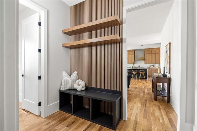 mudroom with light hardwood / wood-style flooring