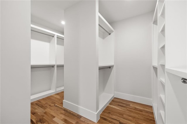 spacious closet with hardwood / wood-style flooring