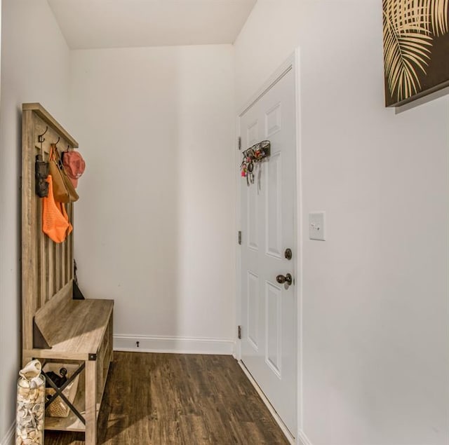 594 Maner Rd, Rockmart, GA 30153 - mudroom with dark wood-type flooring and baseboards