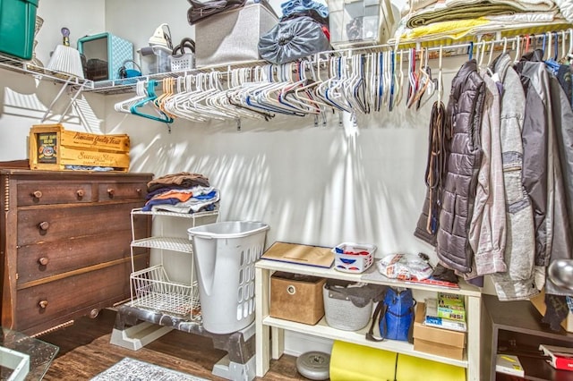 594 Maner Rd, Rockmart, GA 30153 - walk in closet with wood finished floors