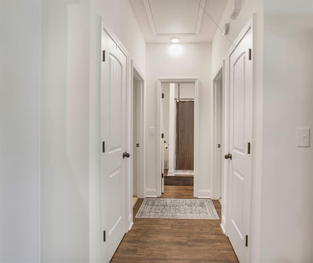 594 Maner Rd, Rockmart, GA 30153 - corridor with dark wood-style flooring