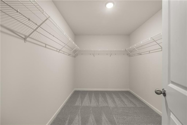 walk in closet featuring carpet