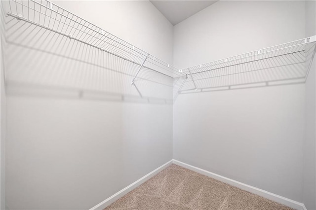 spacious closet featuring carpet flooring