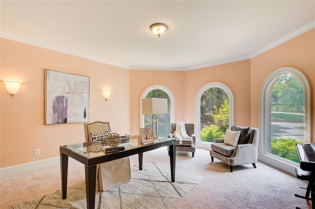 office featuring ornamental molding, baseboards, and light carpet