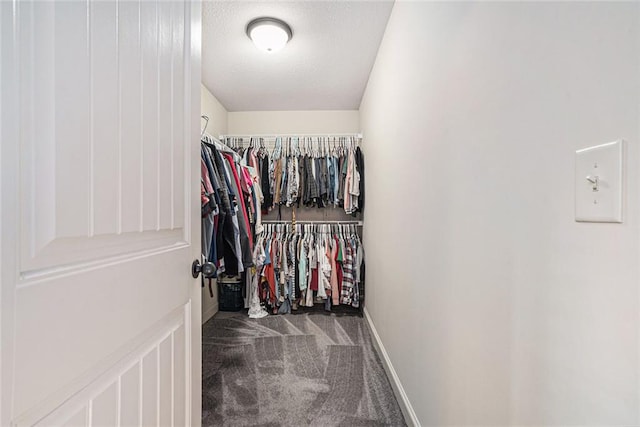 spacious closet with carpet floors