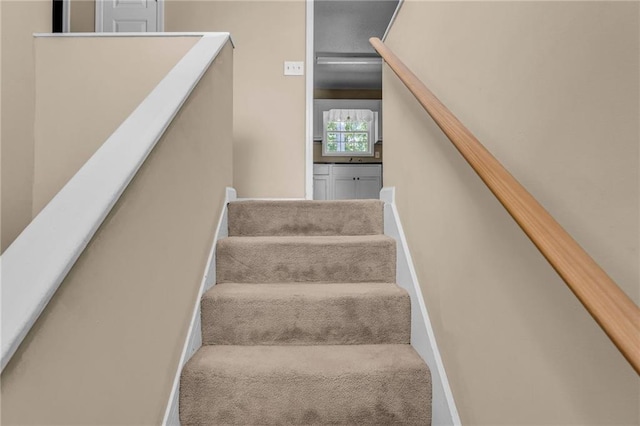 stairway with carpet flooring