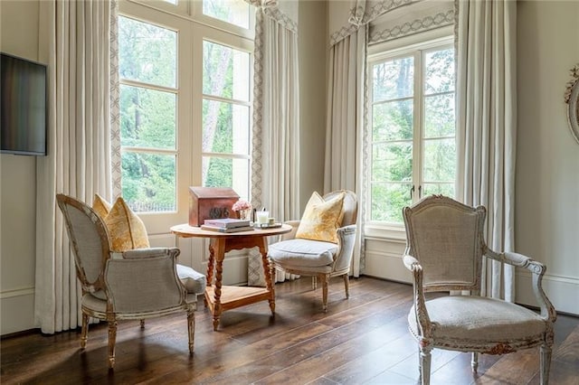 sitting room with a wealth of natural light and wood-type flooring