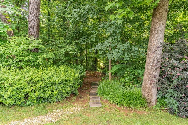 4307 Windward Ln, Norcross, GA 30093 - view of yard