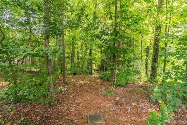 4307 Windward Ln, Norcross, GA 30093 - view of wooded area