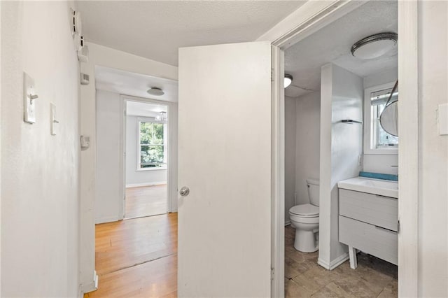 bathroom with vanity, hardwood / wood-style floors, toilet, and a textured ceiling