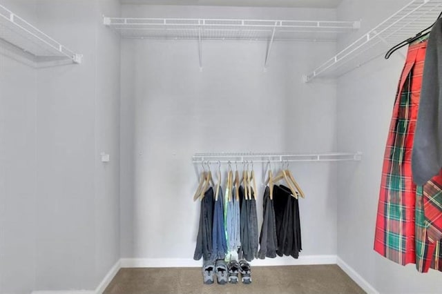 view of walk in closet