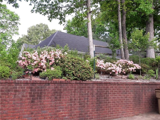 view of home's exterior featuring a shingled roof