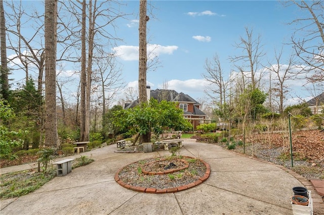 view of home's community with curved driveway